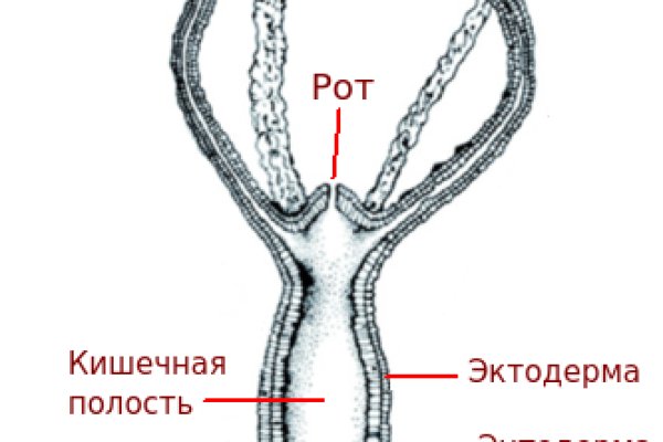 Кракен шоп нарк
